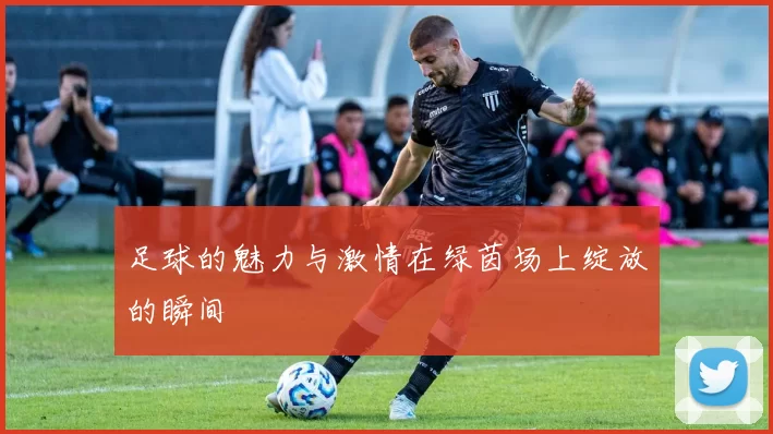 足球的魅力与激情在绿茵场上绽放的瞬间