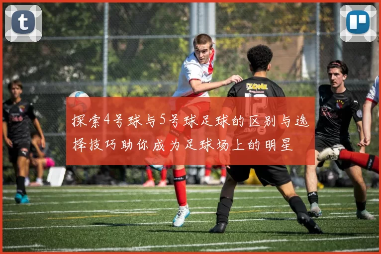 探索4号球与5号球足球的区别与选择技巧助你成为足球场上的明星